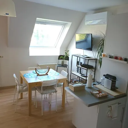 Cosy Colette,climatise Avec Stationnement Gratuit. Strasbourg